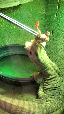 Medford Outlet Center photo 3