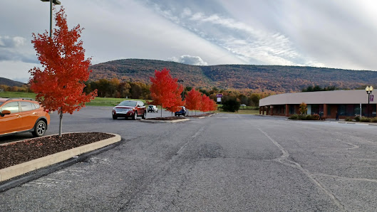 Bald Eagle Court photo 1