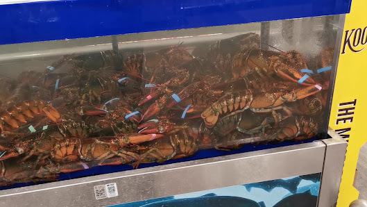 Maine Coast Mall photo 3