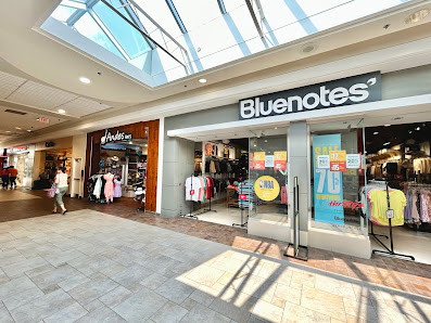 Billings Bridge Shopping Centre photo 5