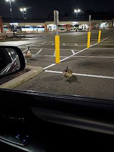 Heritage Place photo 2