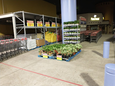 Independence Plaza photo 4