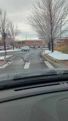 Shops at Walnut Creek photo 3