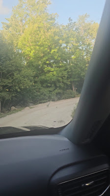 Shelburne Mall photo 3