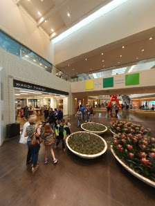 NorthPark Center photo 6