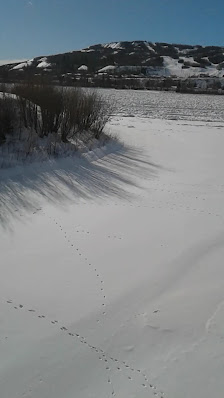 Riverdrive Mall photo 3