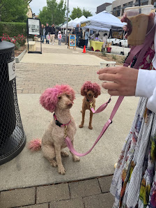 Hill Country Galleria photo 2
