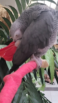 Galeries Terrebonne photo 3