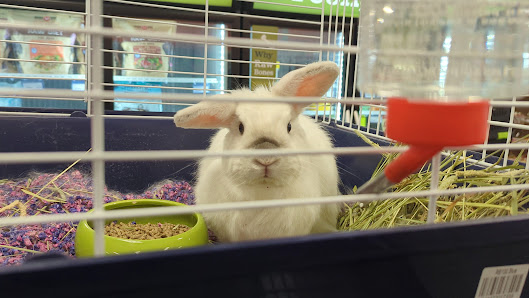 Man O'War Place photo 3