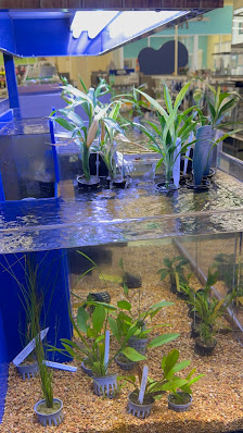 Parkside Town Commons photo 2