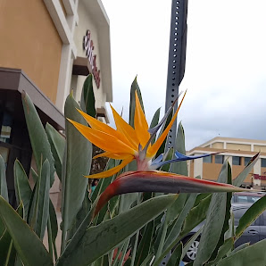 Glendale Center photo 3