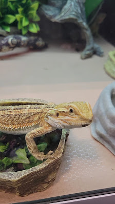 Shoppes On The Ridge photo 3