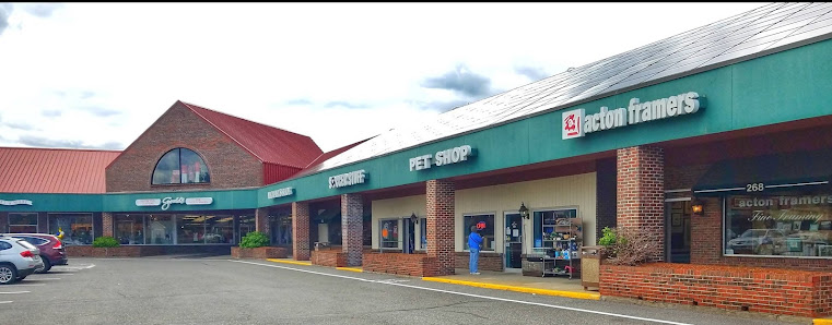 Gould's Plaza photo 1