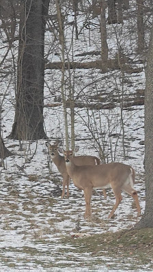 Fishers District photo 3