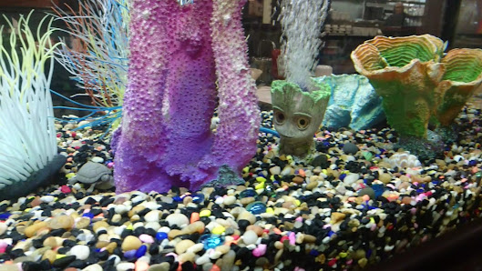 Le Centre Sherbrooke photo 3