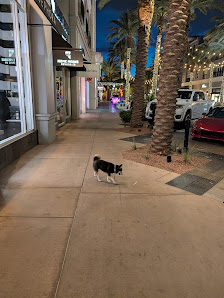 The District at Green Valley Ranch photo 2