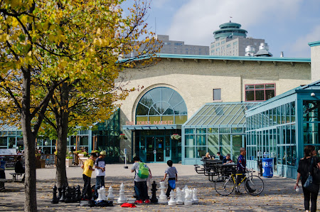 The Forks Market photo 5