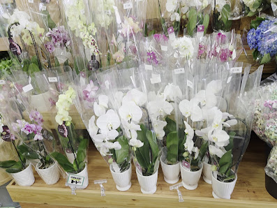 Roswell Crossing photo 3