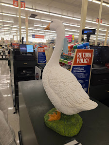 Stone Hill Town Center photo 2