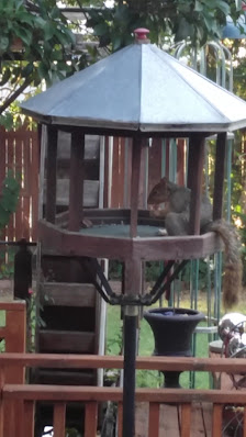 Crystal City Shopping Center photo 3