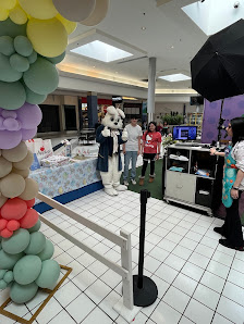 New Towne Mall photo 2