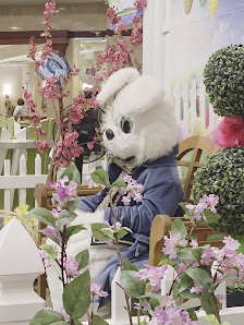 Apple Blossom Mall photo 2