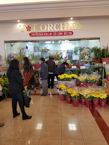 Carson Mall Shopping Center photo 2