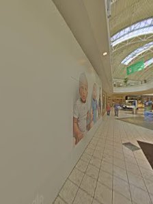 SouthPark Mall photo 6