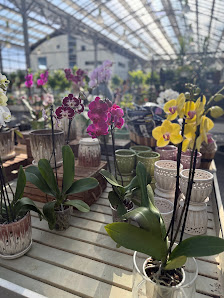 The Enjoy Centre photo 2