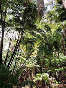 Volcano Village Center photo 1