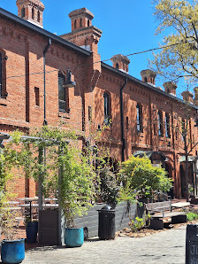 Brightleaf Square photo 2