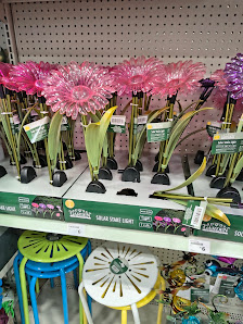 Towne Centre At Cielo Vista photo 2