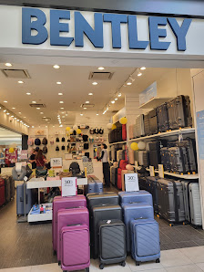 McAllister Place photo 4