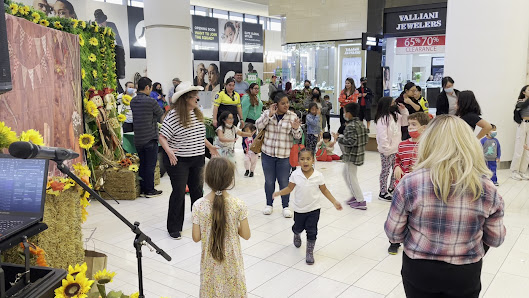 Serramonte Center photo 4