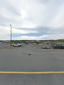 Keltic Plaza photo 5