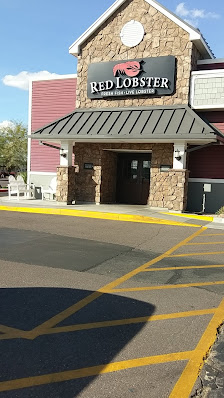 Paradise Plaza photo 5