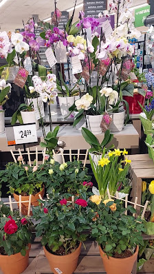 Concord Square photo 3