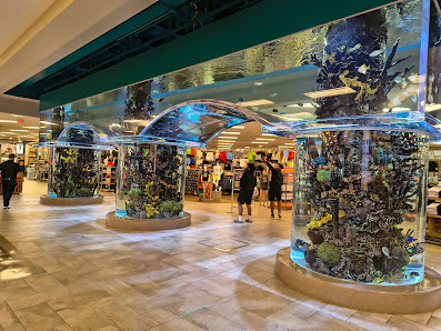 Chandler Fashion Center photo 4