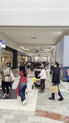 Washington Square photo 2