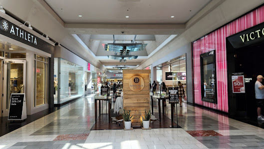 Washington Square photo 4