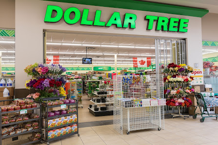 Centenoka Park Mall photo 2