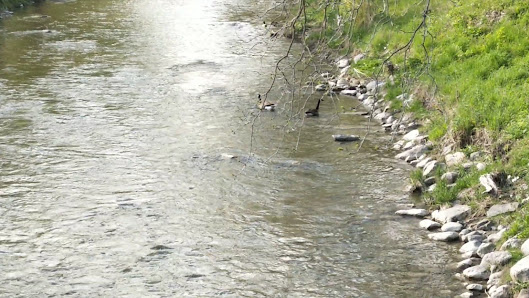 Midtown Centre Mall photo 3