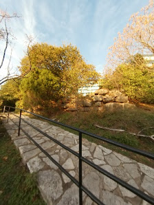 The Arboretum photo 6