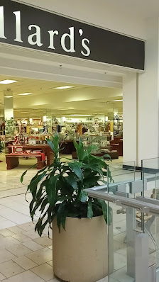 South County Center photo 3