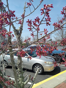 Wareham Crossing photo 2