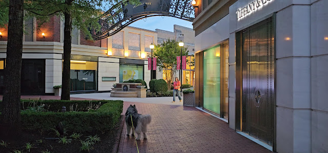 Stony Point Fashion Park photo 3