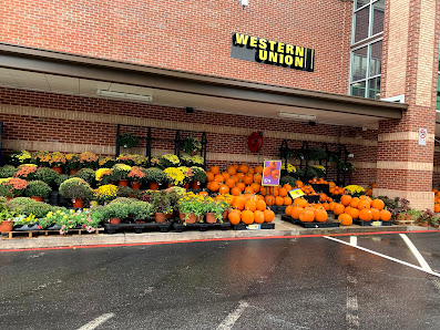 Alps Village photo 1