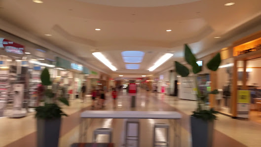 SouthPark Mall photo 3