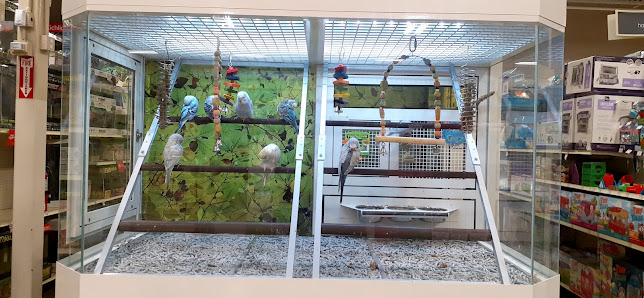 Plaza El Segundo photo 2