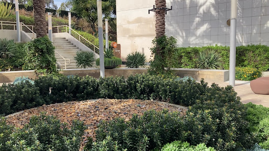 Plaza El Segundo photo 3